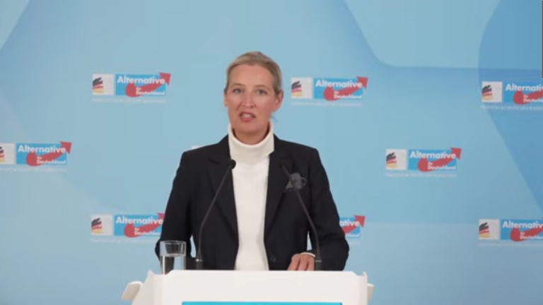 AfD po raz pierwszy prowadzi w sondażu poparcia