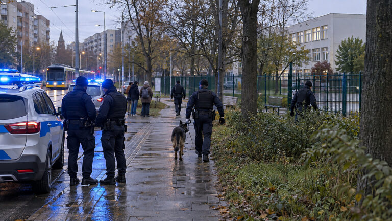 Paweł Kowal atakuje pomysł Marszu Niepodległości we Lwowie